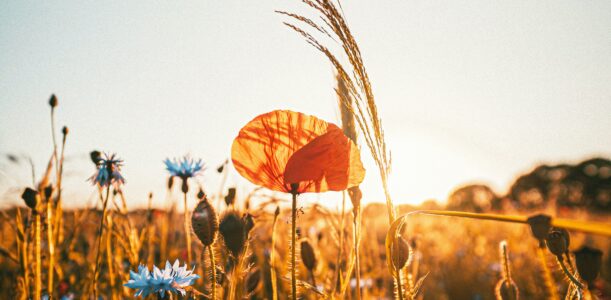 Deuren naar verleden en toekomst openhouden