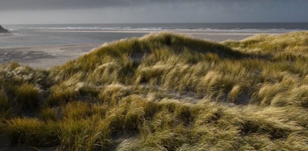Let’s meet: Wandelen