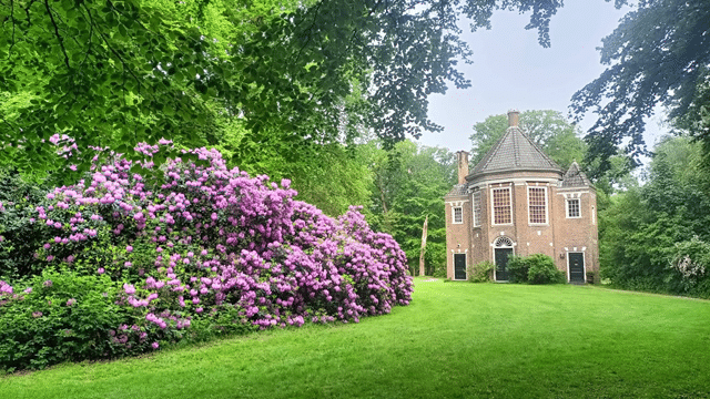 Haags Vrouwen Netwerk